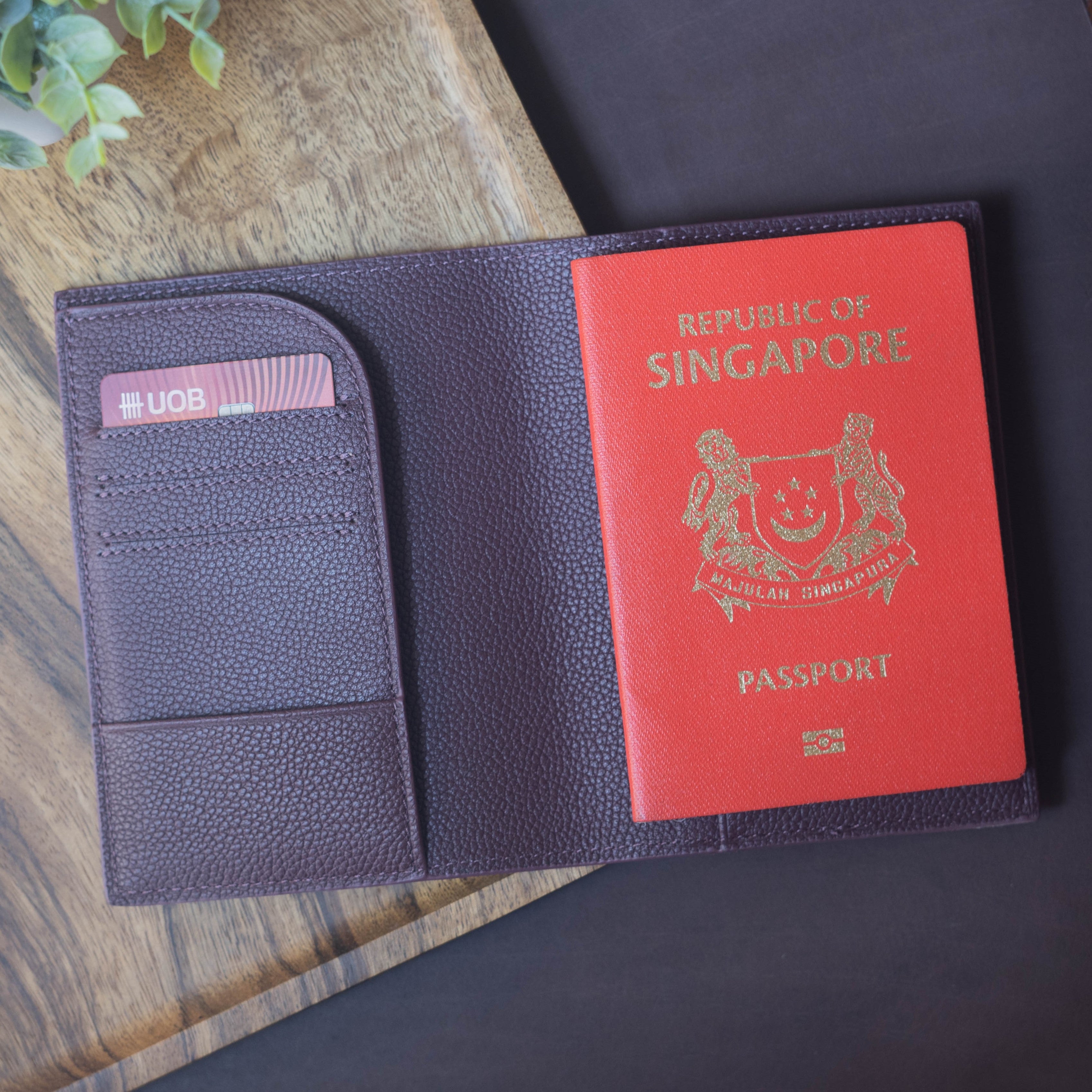 Passport Holder - Buff Brown - Crafune