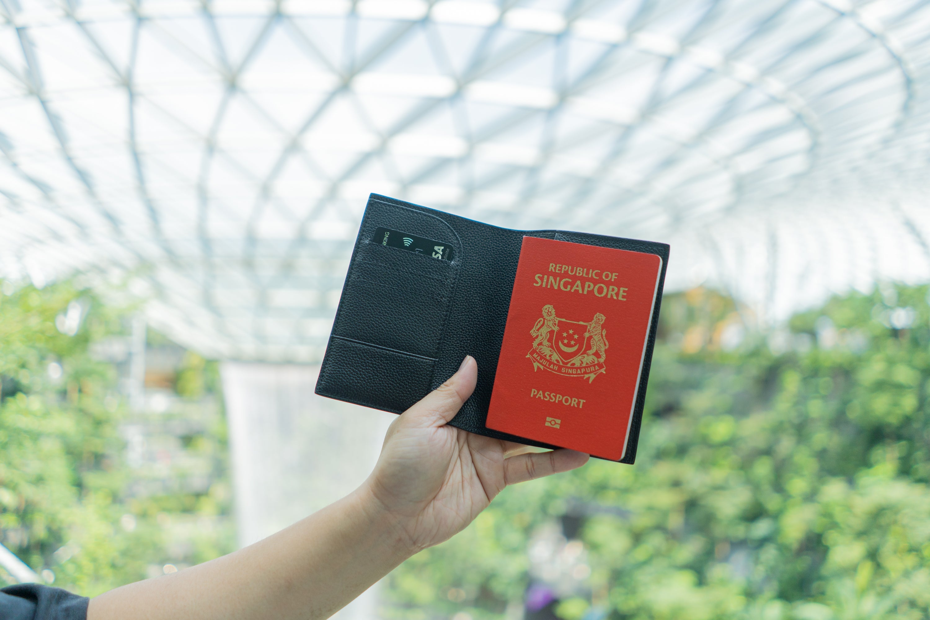 Passport Holder - Robin Blue - Crafune