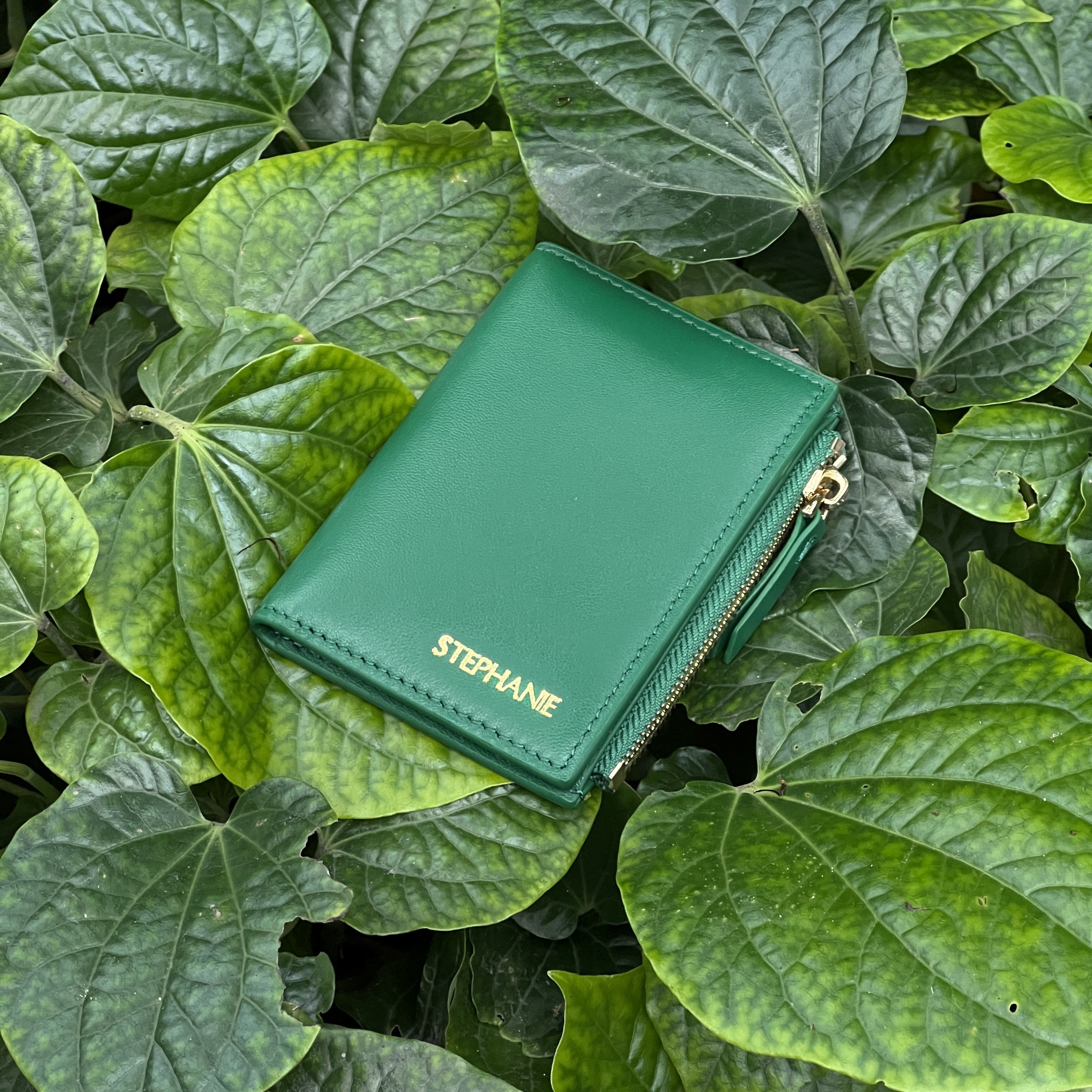 Zip Bifold - Toffee