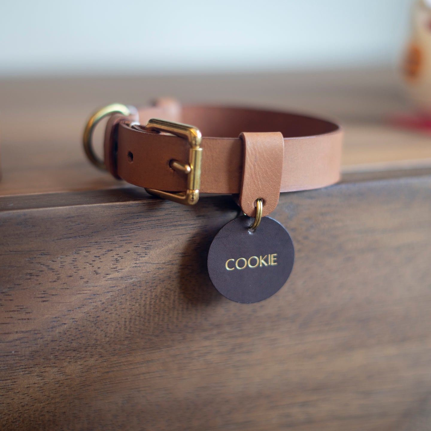 Pet Collar Workshop - New Bahru - Crafune