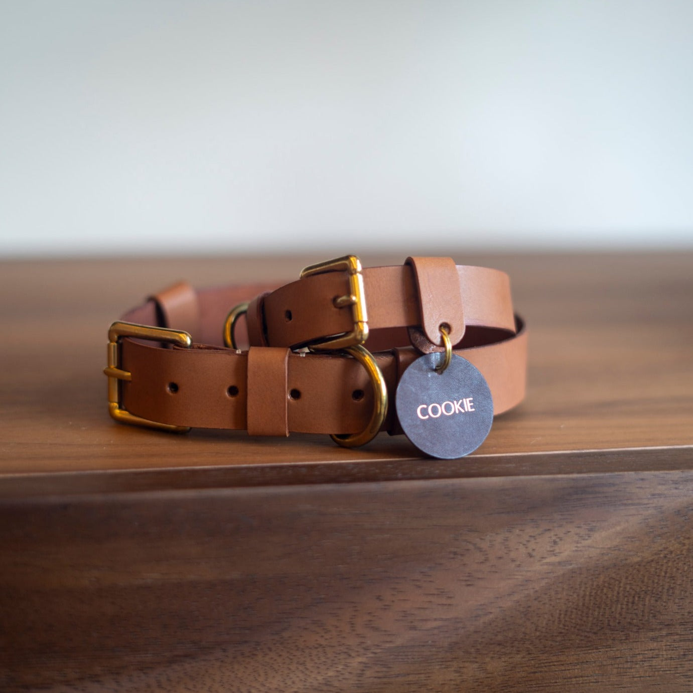 Pet Collar Workshop - New Bahru - Crafune