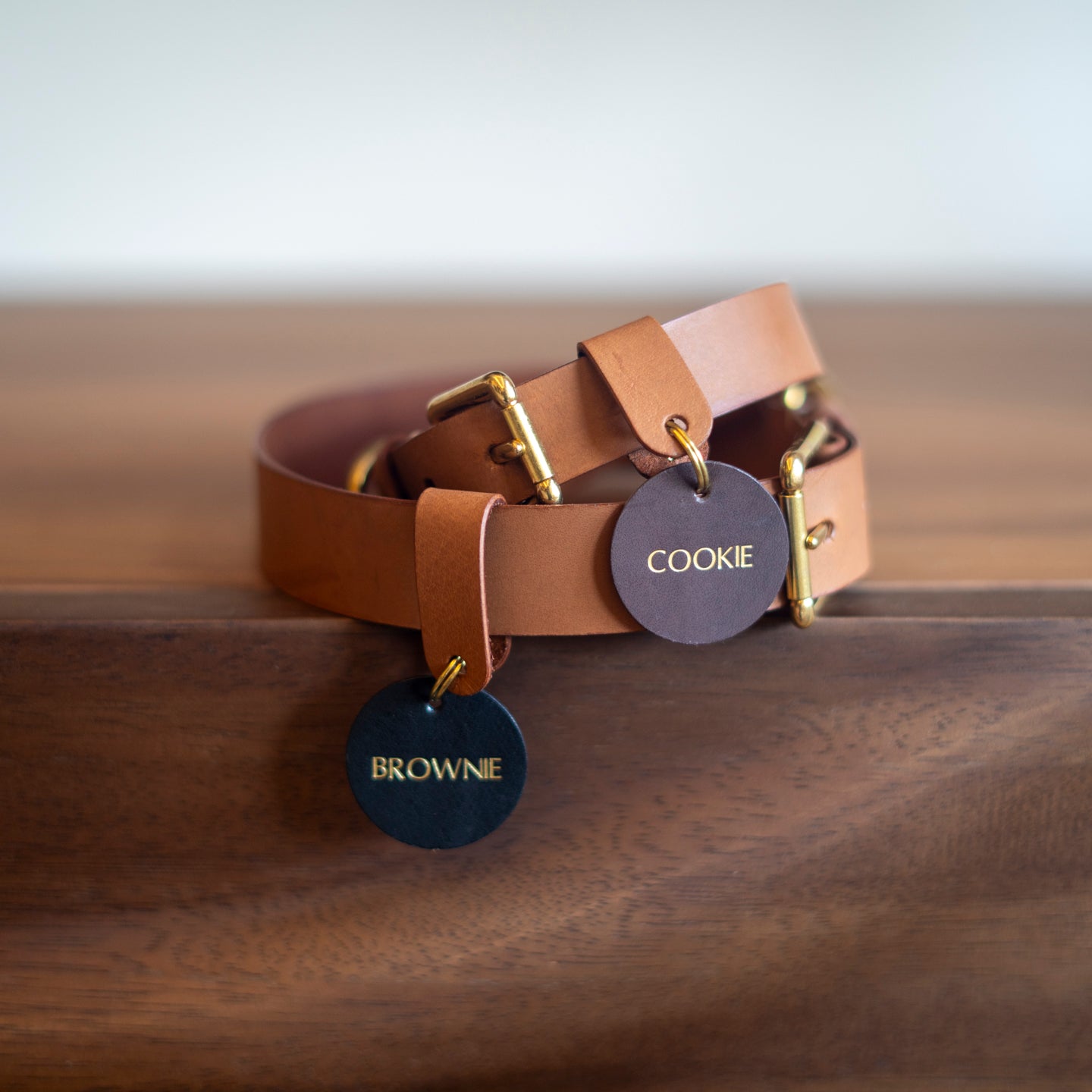 Pet Collar Workshop - New Bahru - Crafune