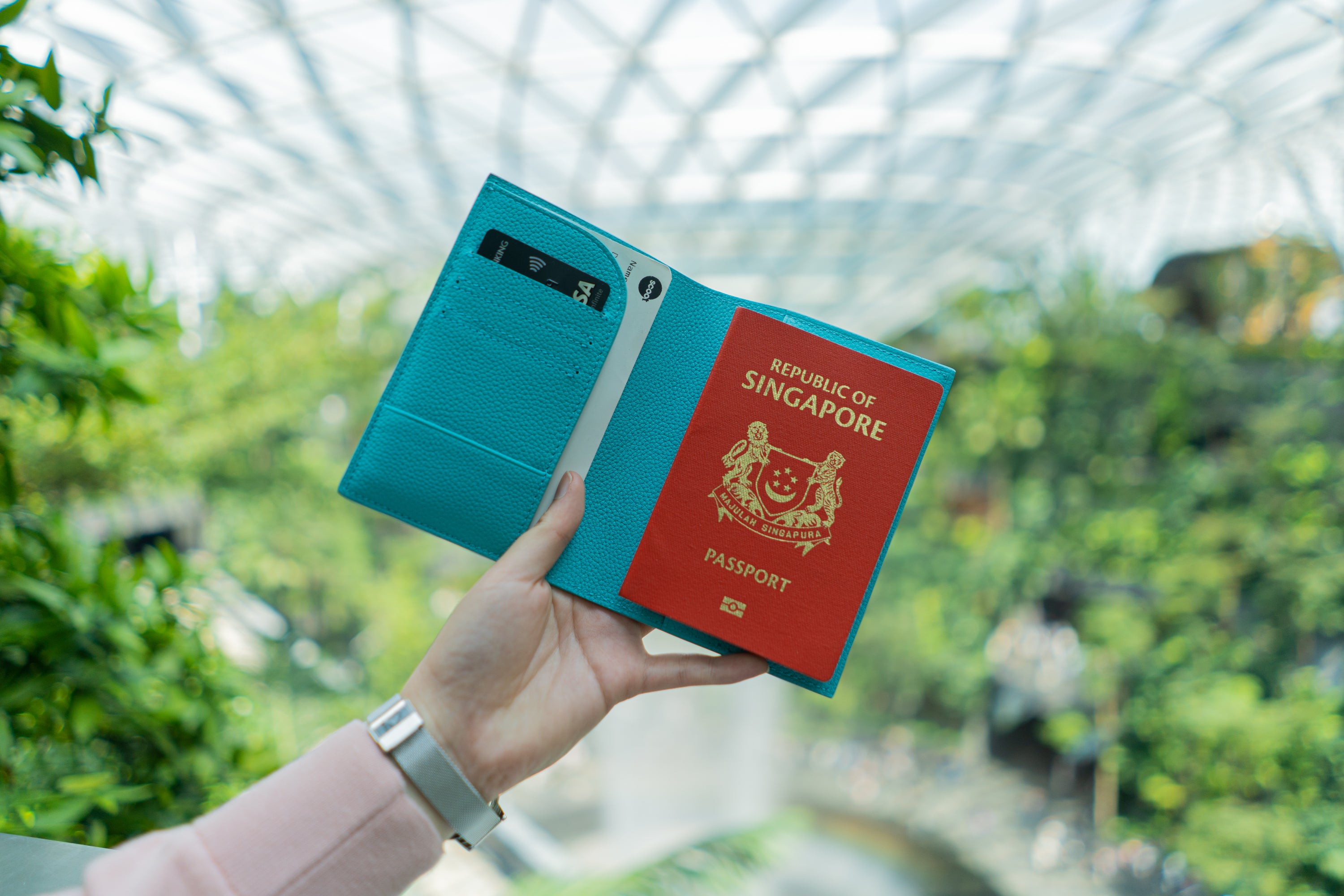Passport Holder - Russet - Crafune